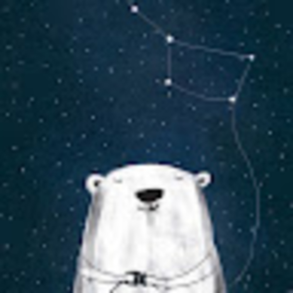 Meet your Posher, Ursa